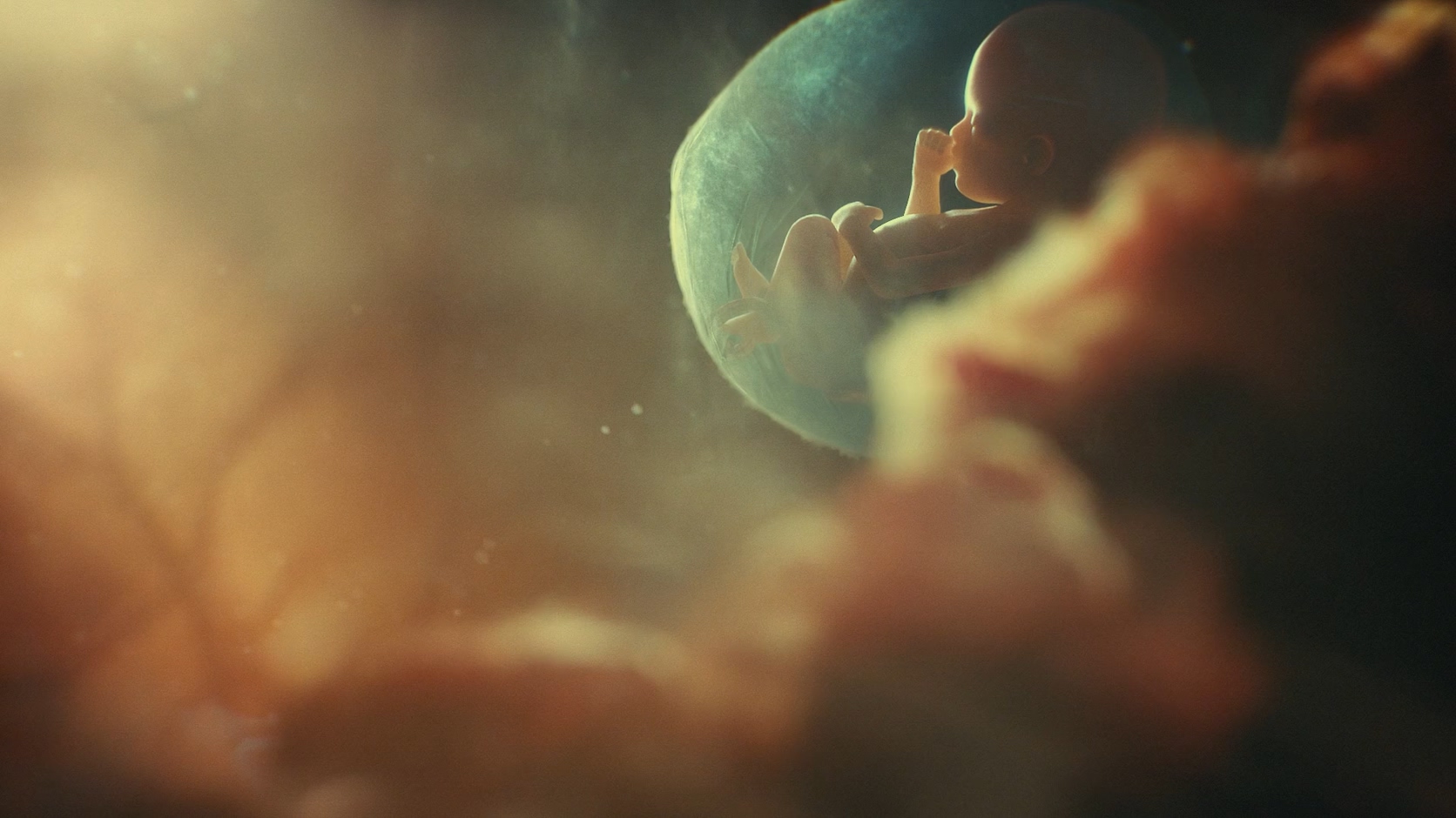 醫(yī)學(xué)三維動(dòng)畫(huà)