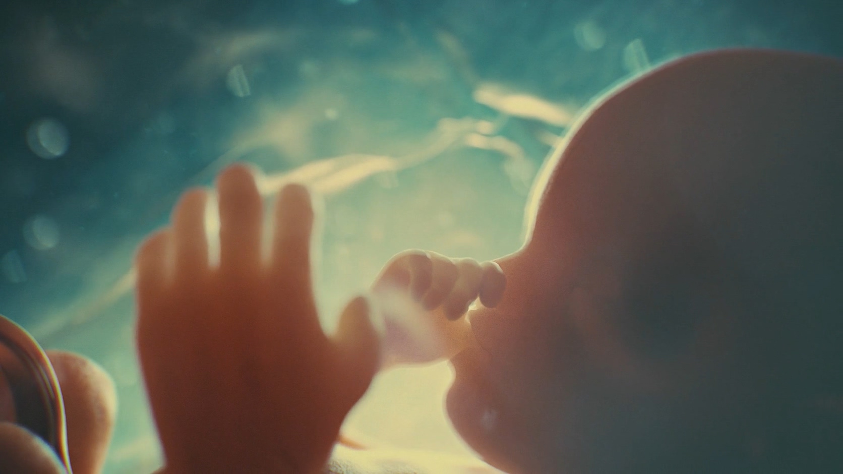 醫(yī)學(xué)三維動(dòng)畫(huà)