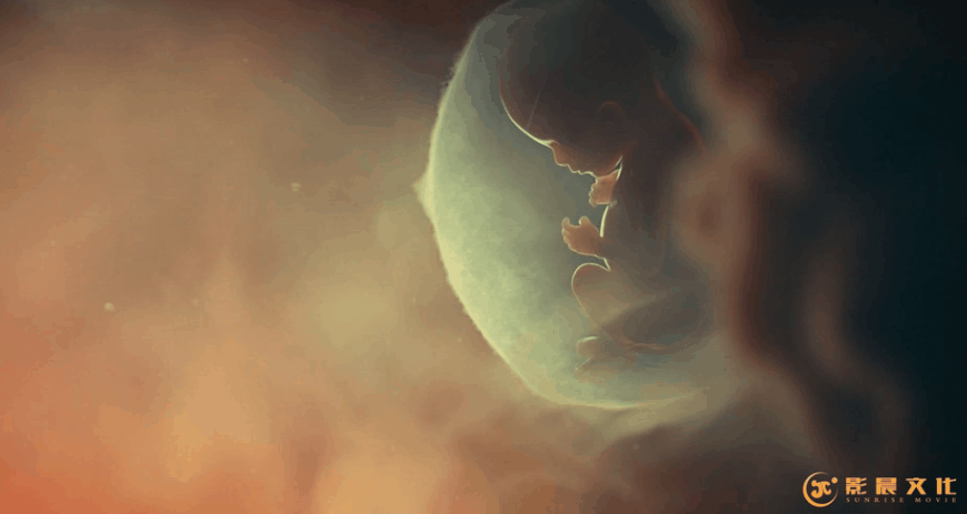 廣州醫(yī)學(xué)三維動(dòng)畫制作