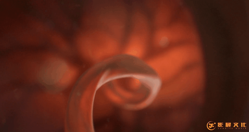 廣州醫(yī)學(xué)三維動(dòng)畫制作