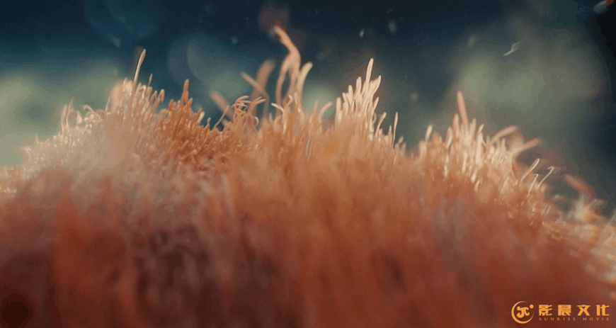 廣州醫(yī)學(xué)三維動(dòng)畫制作