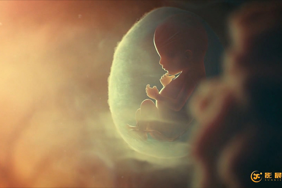 廣州三維動畫質(zhì)量的基礎(chǔ)要求