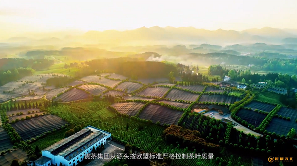 黃埔區(qū)創(chuàng)意宣傳片制作分幾點？