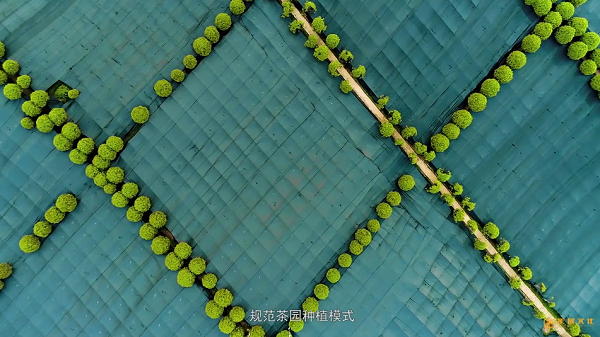 廣州產(chǎn)品宣傳片文案怎么寫？