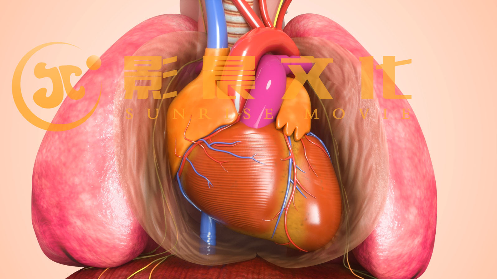 醫(yī)學(xué)三維動(dòng)畫