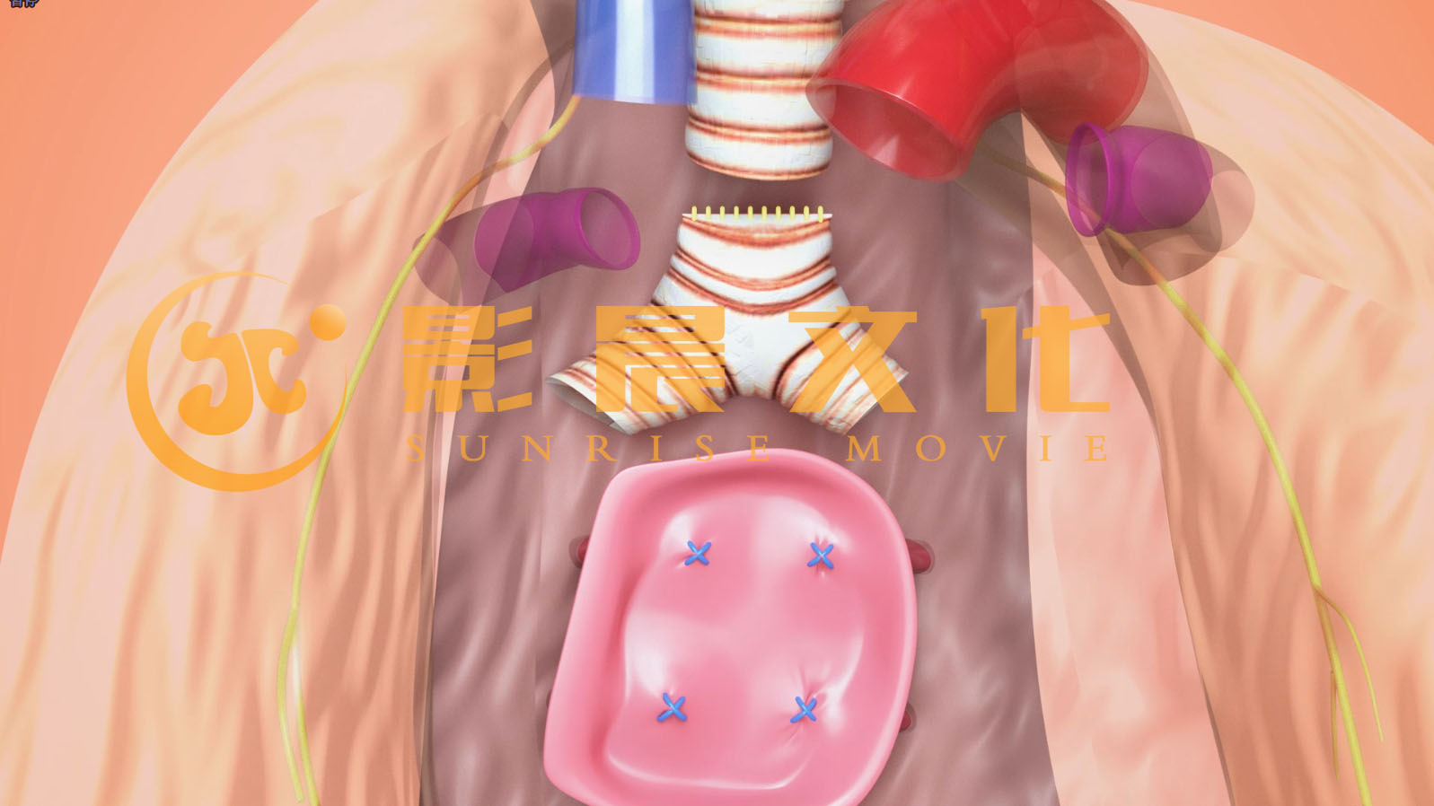 肺部三維動(dòng)畫(huà)