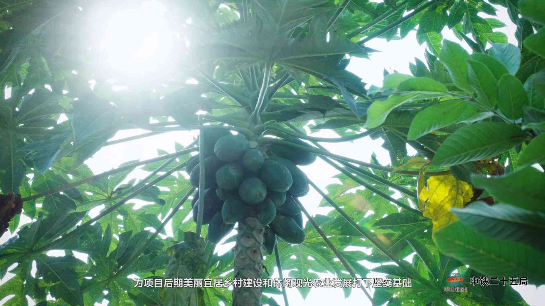 廣州高校招生宣傳片創(chuàng)新思路