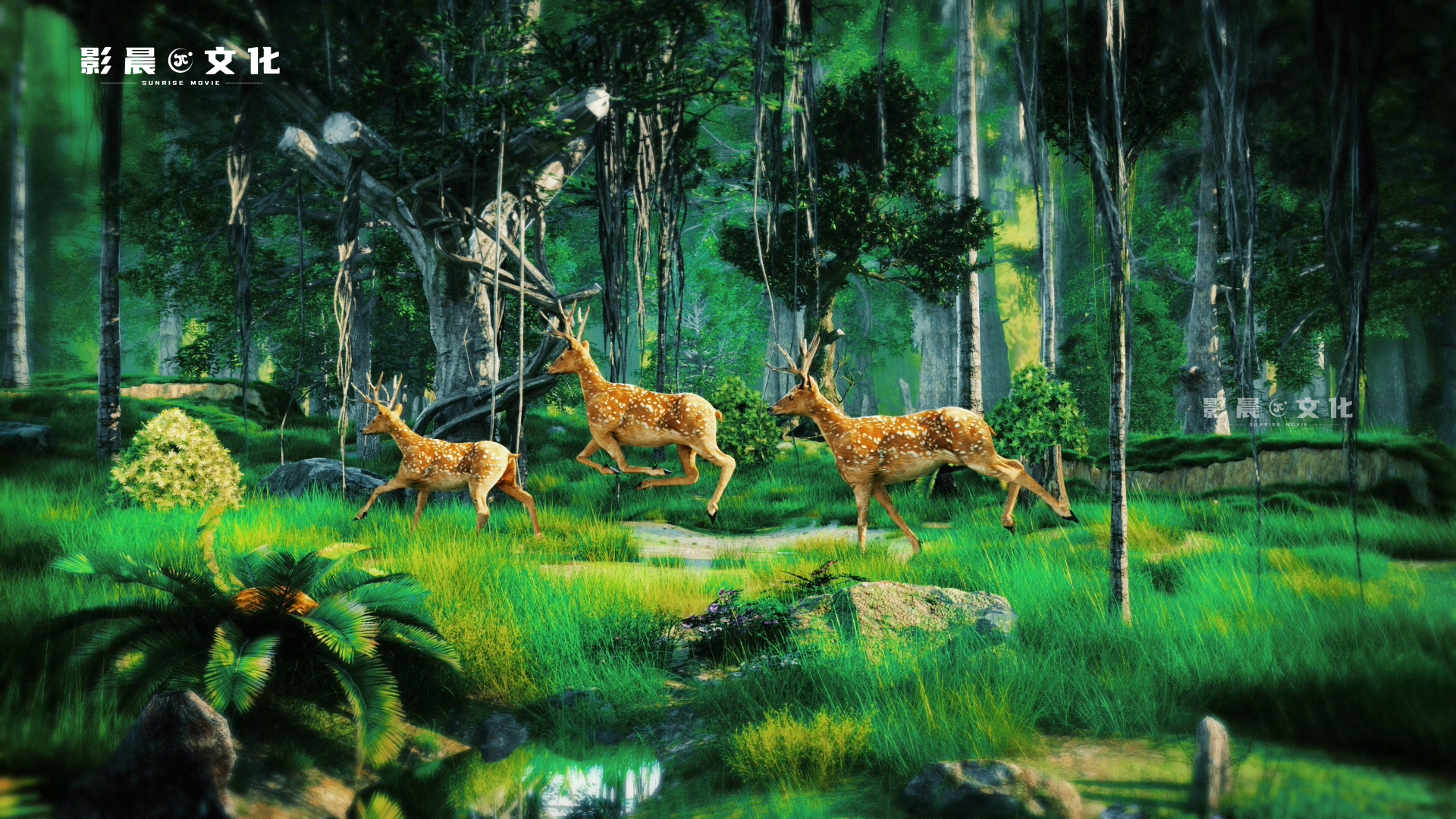 佛山工業(yè)產(chǎn)品三維動畫制作