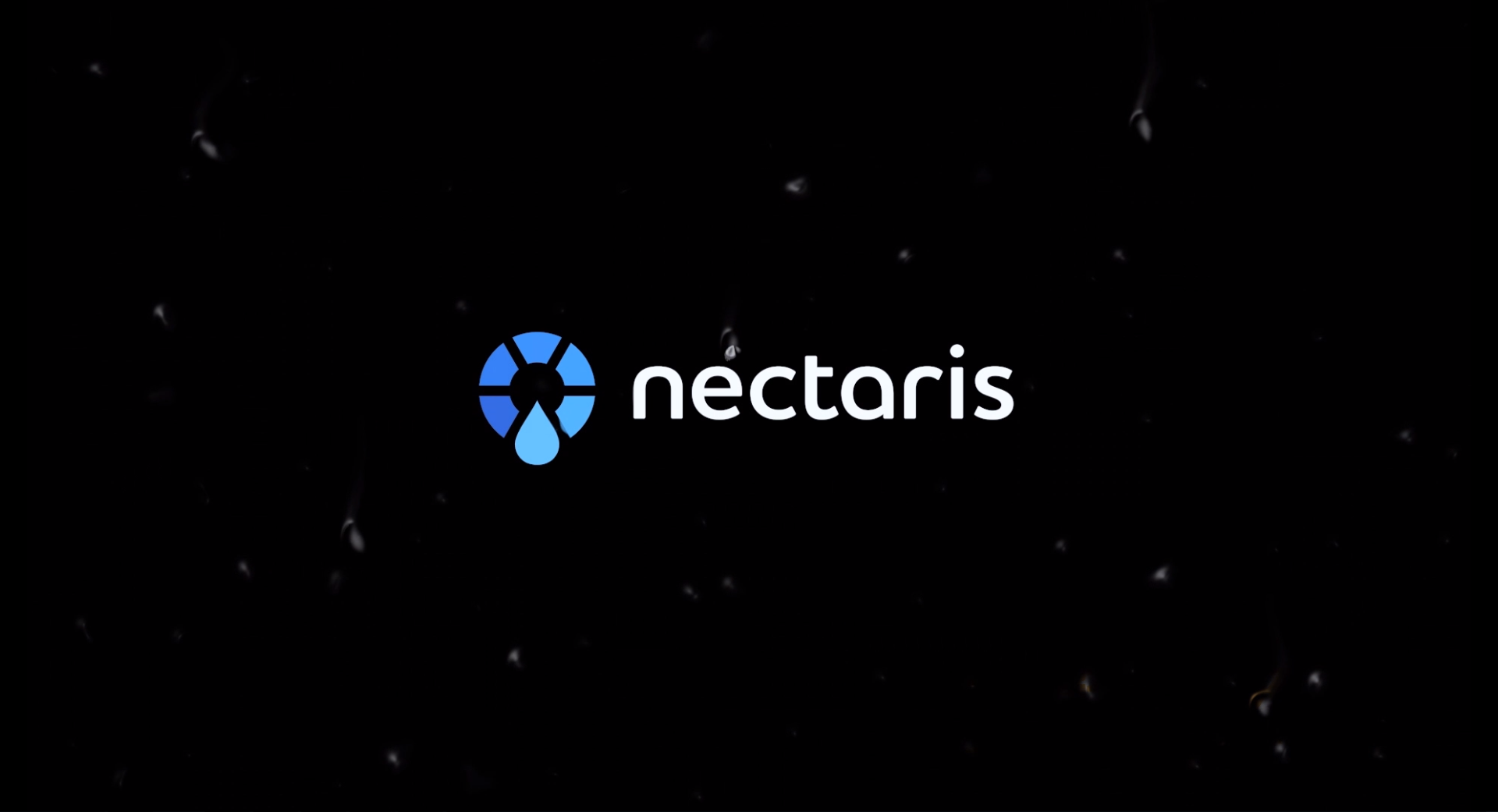 三維動(dòng)畫制作